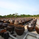 포레스트 12 자연휴양림 이미지