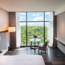 (주)서울힐튼호텔 | 더블트리 바이 힐튼 호텔 서울 판교 결혼식 하객 후기 💒♥️