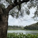 은파호수공원 9-2 이미지