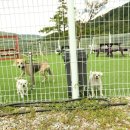 봉쥬르펜션 이미지