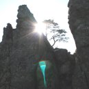 [스크랩] [지리산행 후기] 그리운 지리산이여!