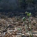 기곡경로당 이미지