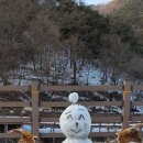 삼오설비