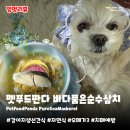 냠냠펫푸드 | 강아지생선간식 펫푸드판다 삼치 | 오메가3 가득한 수제 자연식 기호성 최고 토핑