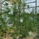 새싹공원(박물관공원 옆) 이미지