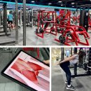 투엑스 골프존(509, 스크린) | [대치역헬스장]&#39;투엑스휘트니스 대치점&#39; 생생한 피티 후기와 목욕탕있는 헬스장 리뷰!