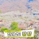 가남정보화마을 | 2023 광양 매화축제 기본정보