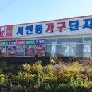 아르페지오이불커텐