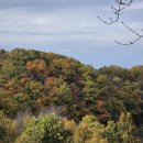 장단콩웰빙마루 관광안내소 | 절정 시기 주차 파주가볼만한곳 가까운북한 오두산통일전망대 방문후기 아이와함께 입장료 추천 서울근교