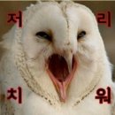 조개까는삼촌 이미지