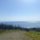 동해어달산봉수대 이미지