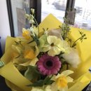 예쁜나무약국 이미지