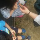 해법행정사사무소 이미지