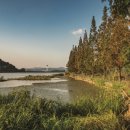 수신닭발 아산온양점 이미지