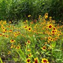 자전거쉼터 이미지