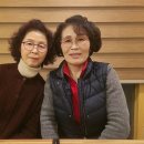 강경젓갈부여상회