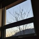 창넓은펜션 | 강아지와 조용히 쉬기 좋은 양평 독채펜션 ‘지혜의숲’ 내돈내산 솔직후기