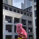 Recently, we had a wonderful lion dance performance 이미지