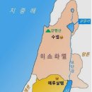엔로겔 이미지