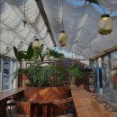 2164 | 성수동, 카페, 데이트, 추천 천상가옥 성수동 천상가옥, 반려동물과 함께해요