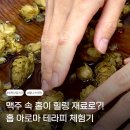 내 마음을 치유하는 한방꽃차 만들기 | 제천 당일치기여행 림느린감성가게 후기 홉 아로마 테라피 어린이체험