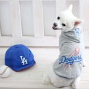 스타일 멍멍 이미지