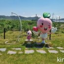 은희유통 네이버블로그