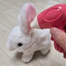 큐티펫 | 동글이 하우스 큐티펫 토끼 어린이날 장난감 선물 추천 (어른이 선물교환식^^...)