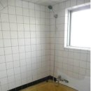 제주게스트하우스봄꽃 이미지