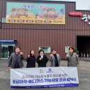 쌀루