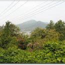 천등산철쭉공원 이미지