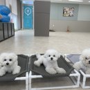 눈보뛰 프리미엄 이미지