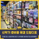 드림디포대한