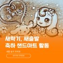 슬기유치원 | 〔세종 유치원 샌드아트〕 새 출발의 희망과 응원 샌드아트 동화 공연과 체험 at 슬기 유치원