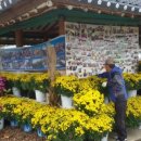 구사마을 이미지