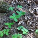 장씨농장 이미지