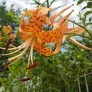 김해대학교 생활관 이미지