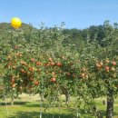 문경새재 도립공원 이미지