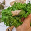 농부의 꿈 이미지