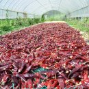 건이네 농장 이미지