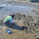 용신어촌계체험휴양마을 이미지