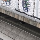 세븐일레븐 부산대정문점 이미지