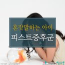 아이피스트