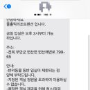 풀홀릭 리조트 펜션 이미지