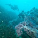 주식회사 한국교육여행사 이미지