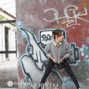 이지요가 세계일보
