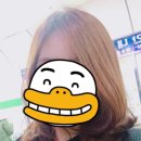 최지현미용실