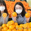 오렌지마트 이미지