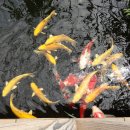 배다골민속박물관 이미지