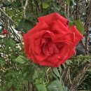 멀리서 바라다 본 세상 이미지